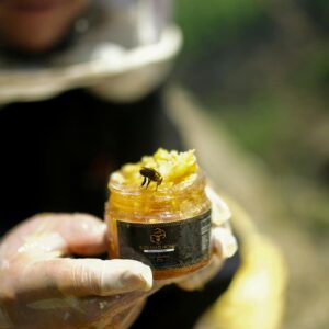 Bee Venom
